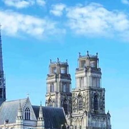 Superbe Appartement En Coeur De Ville Orlean Zewnętrze zdjęcie