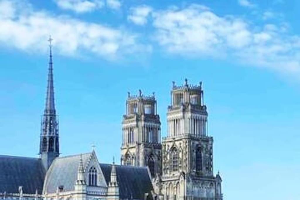 Superbe Appartement En Coeur De Ville Orlean Zewnętrze zdjęcie