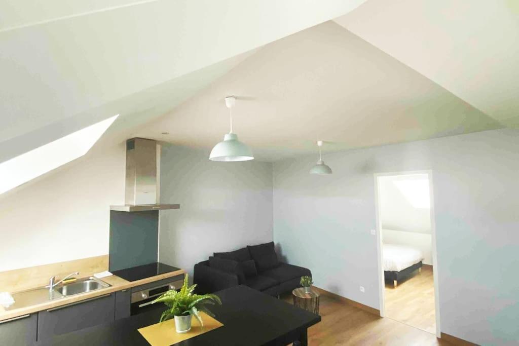 Superbe Appartement En Coeur De Ville Orlean Zewnętrze zdjęcie