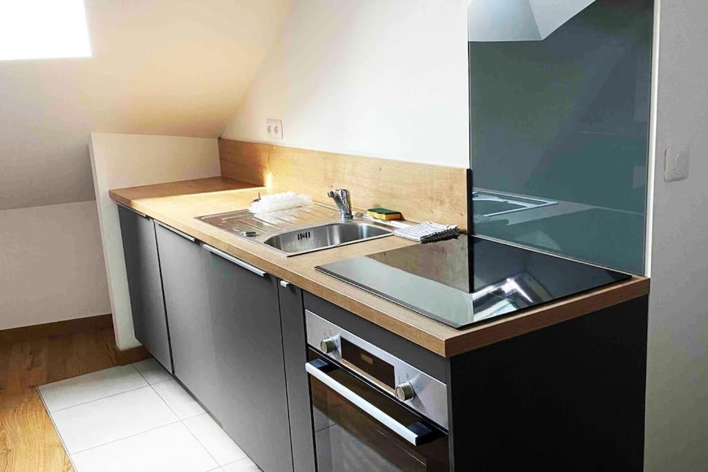 Superbe Appartement En Coeur De Ville Orlean Zewnętrze zdjęcie